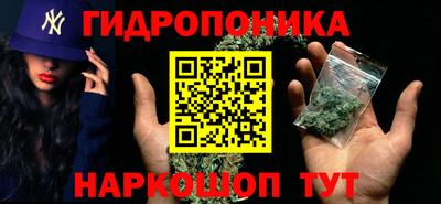 ECSTASY Славгород