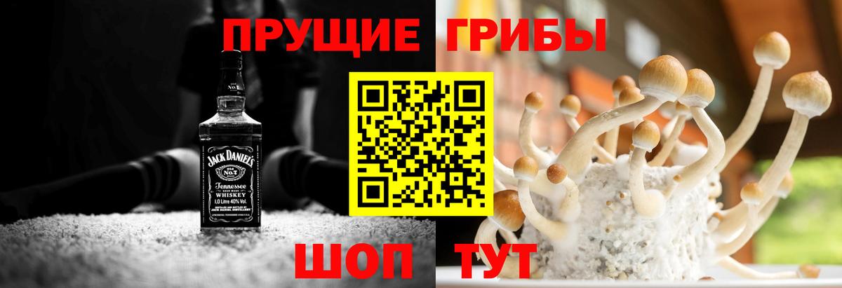 Новотроицк  Галлюциногенные грибы Magic Shrooms  Вход с VPN 